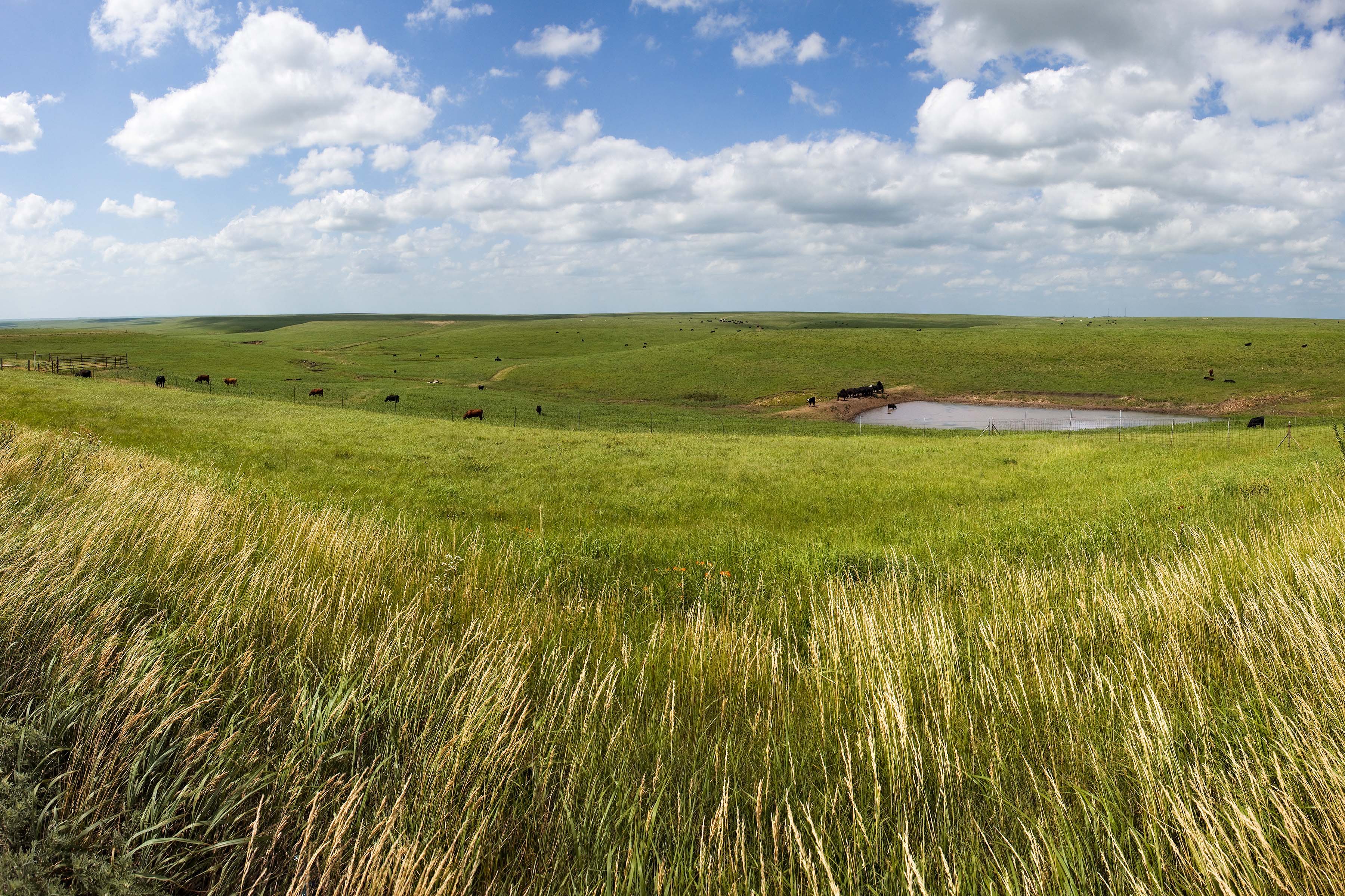 NFWF Awards 4 Million America the Beautiful Grant to Land Trust